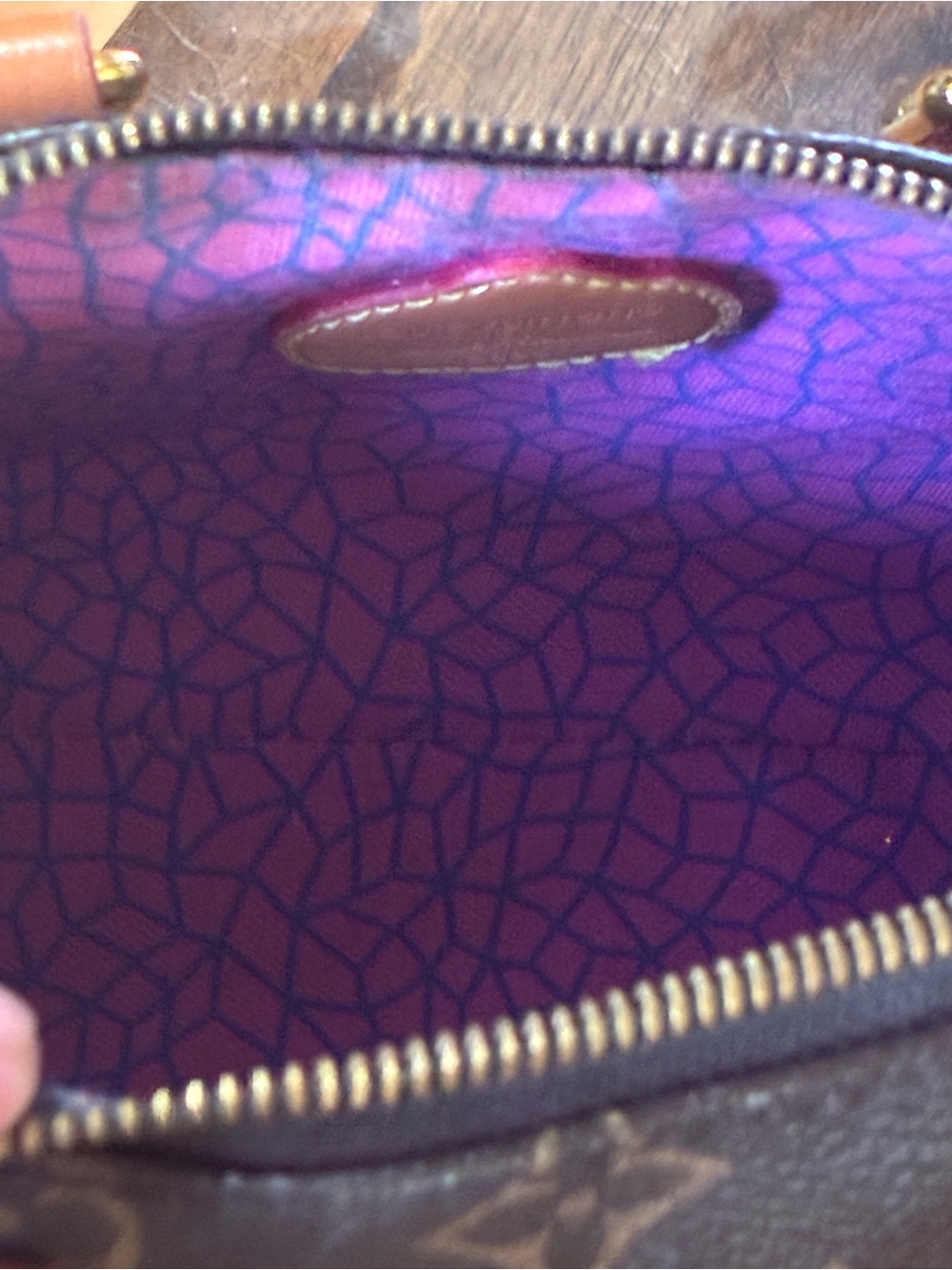 Louis Vuitton Monogram Satchel with Multicolor Pumpkin Print - Picture 8 of 11